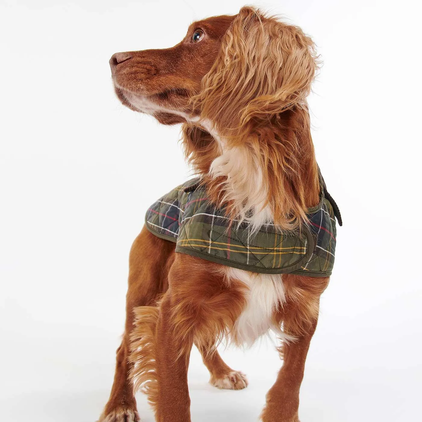 Barbour Tartan Dog Coat