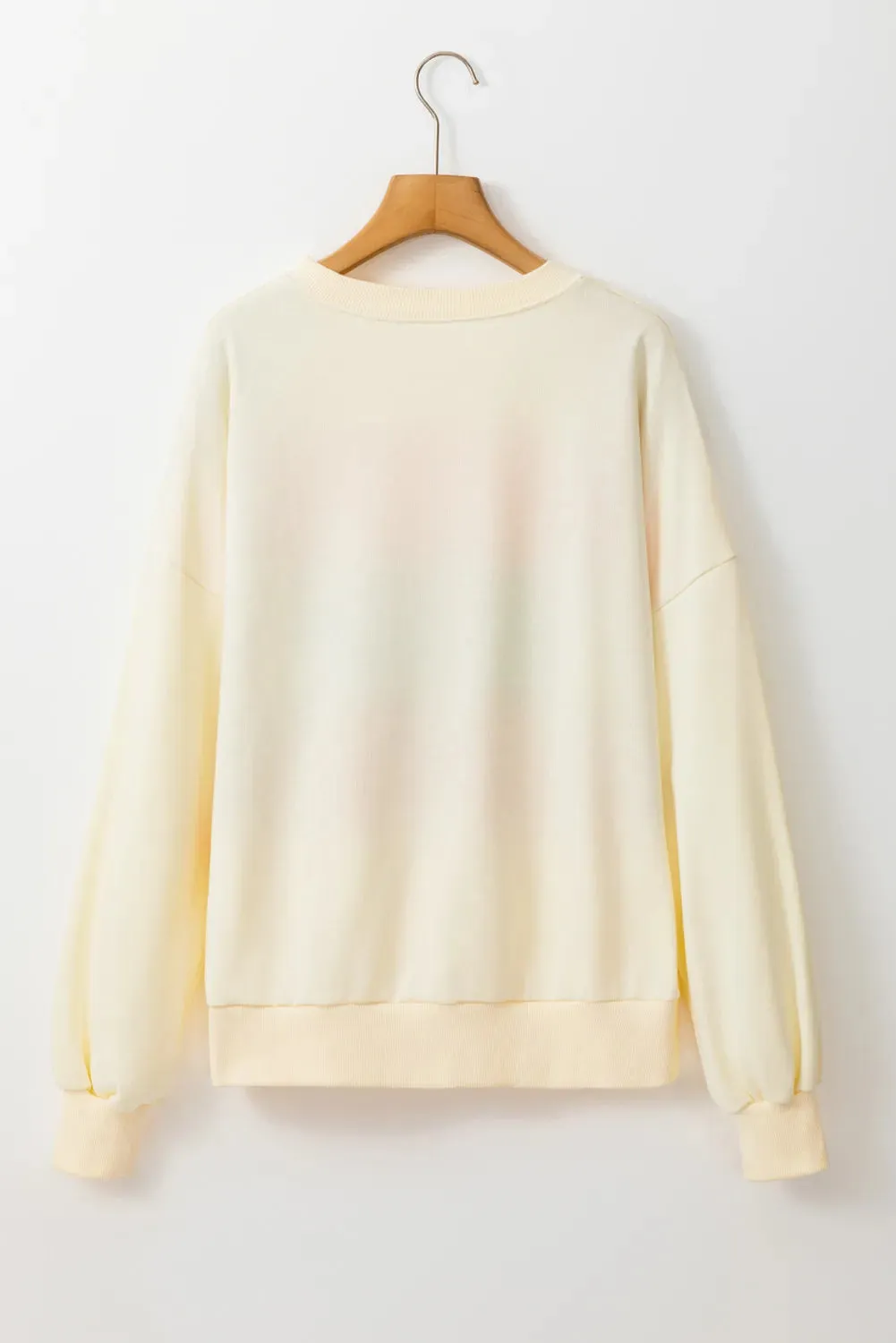 Color Block Long Sleeve Sweatshirt